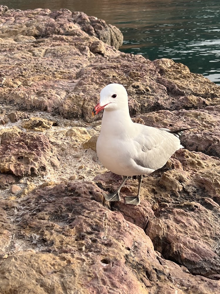 Cala Saladeta