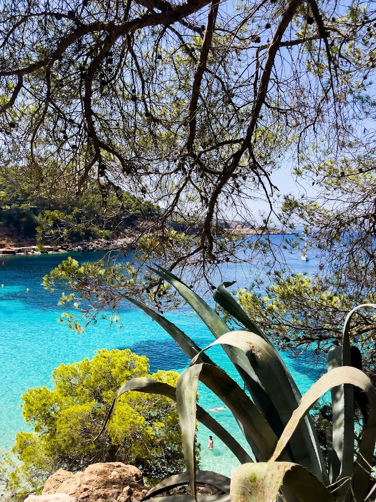 Cala Saladeta