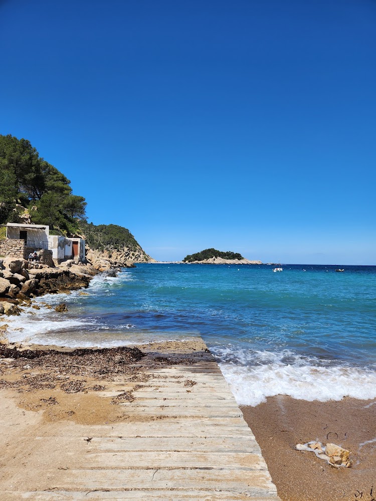 Platja des Port de Sant Miquel