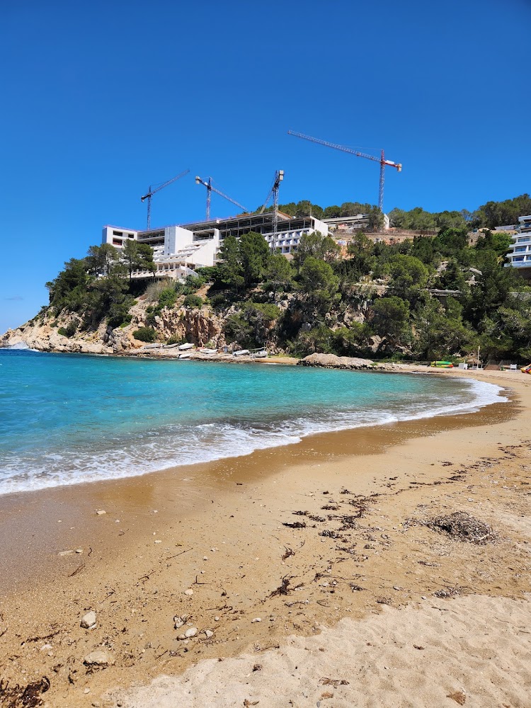 Platja des Port de Sant Miquel