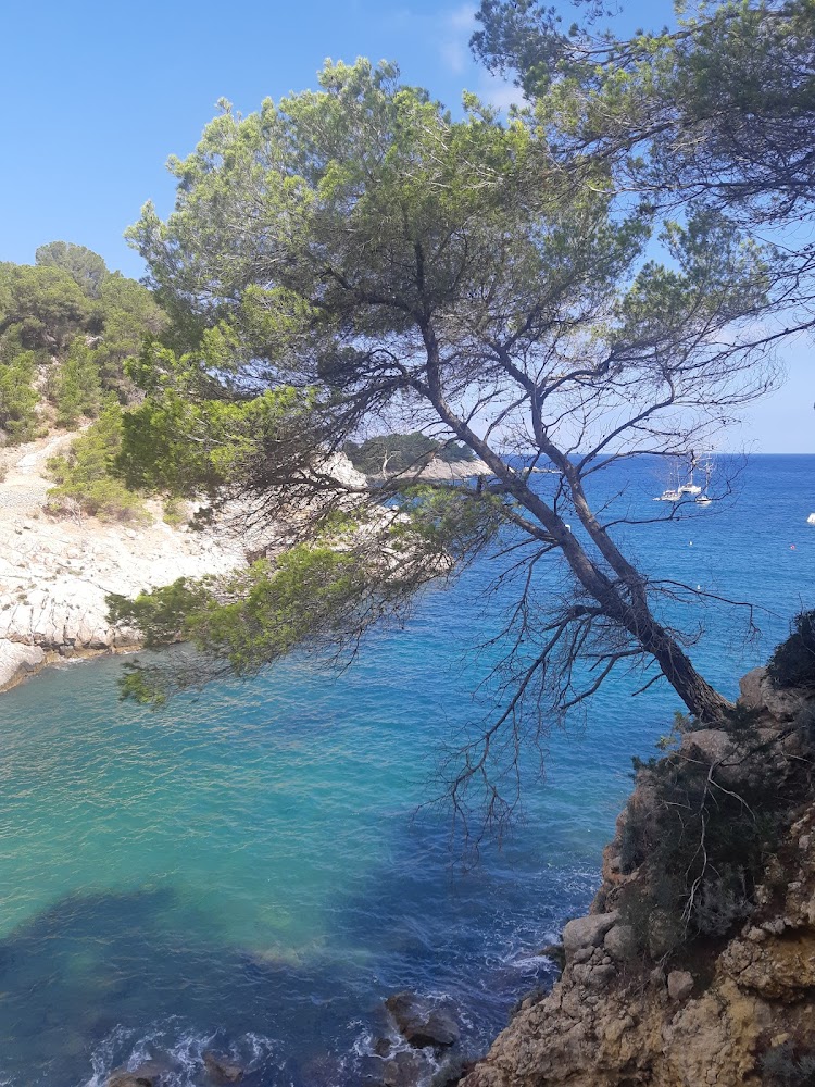 Platja des Port de Sant Miquel