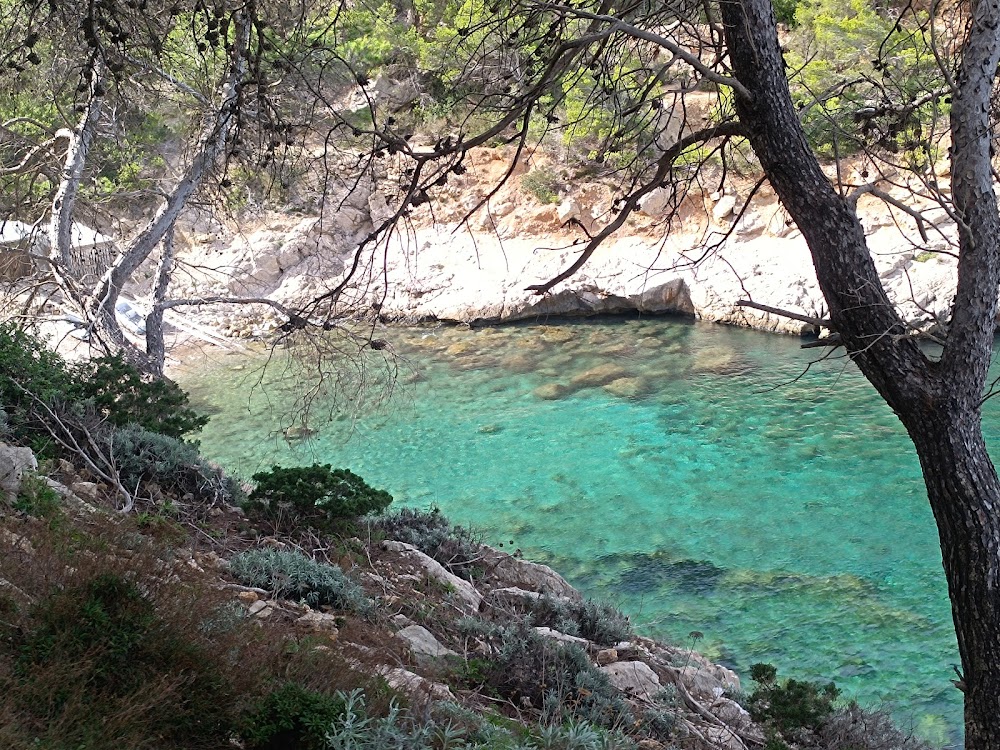 Platja des Port de Sant Miquel