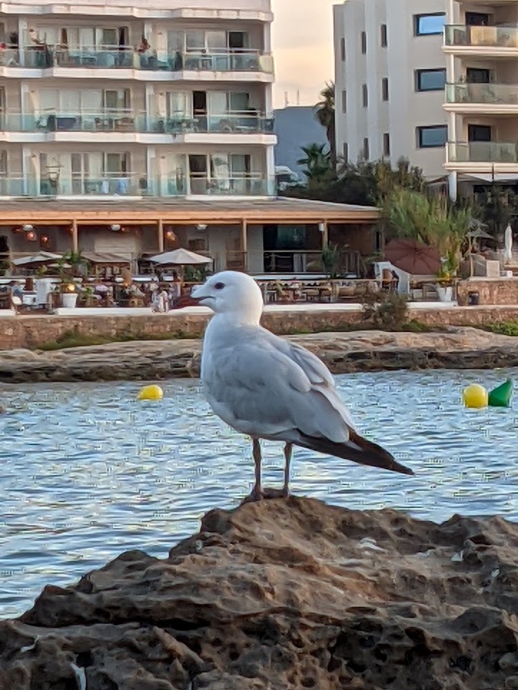 Caló des Moro