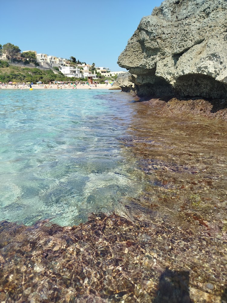 Platja Cala Mendia