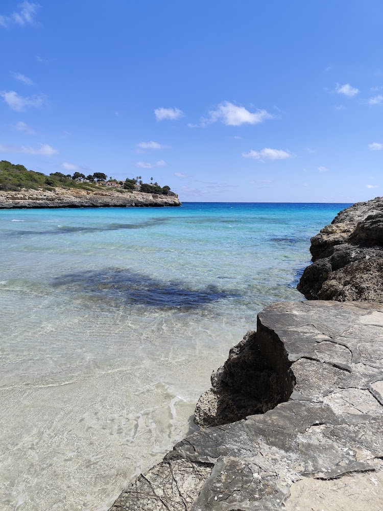 Platja Cala Mendia