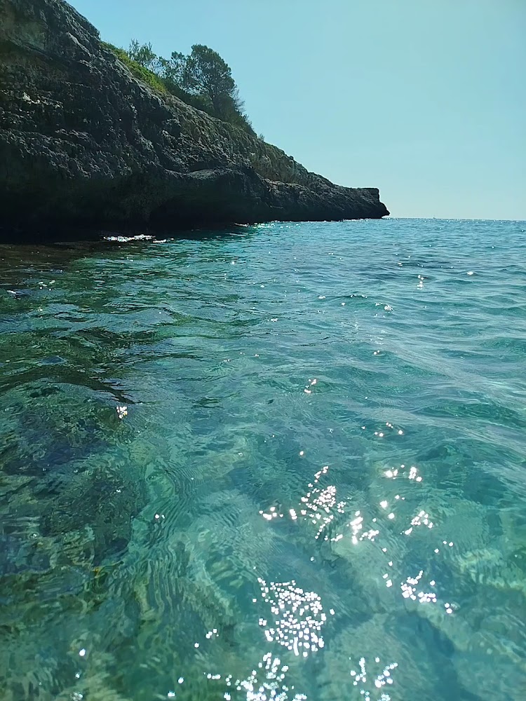 Platja Cala Mendia