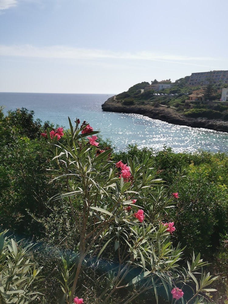 Platja Cala Mendia