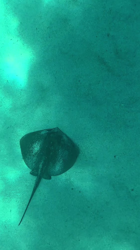 Cala Petita