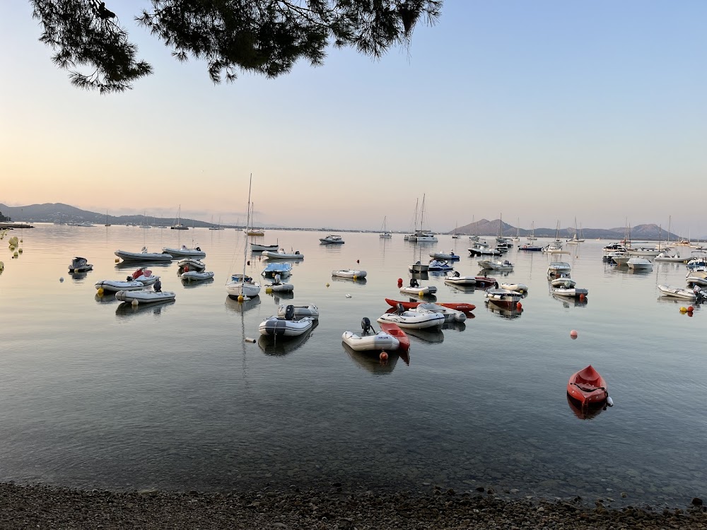 Playa Pollença