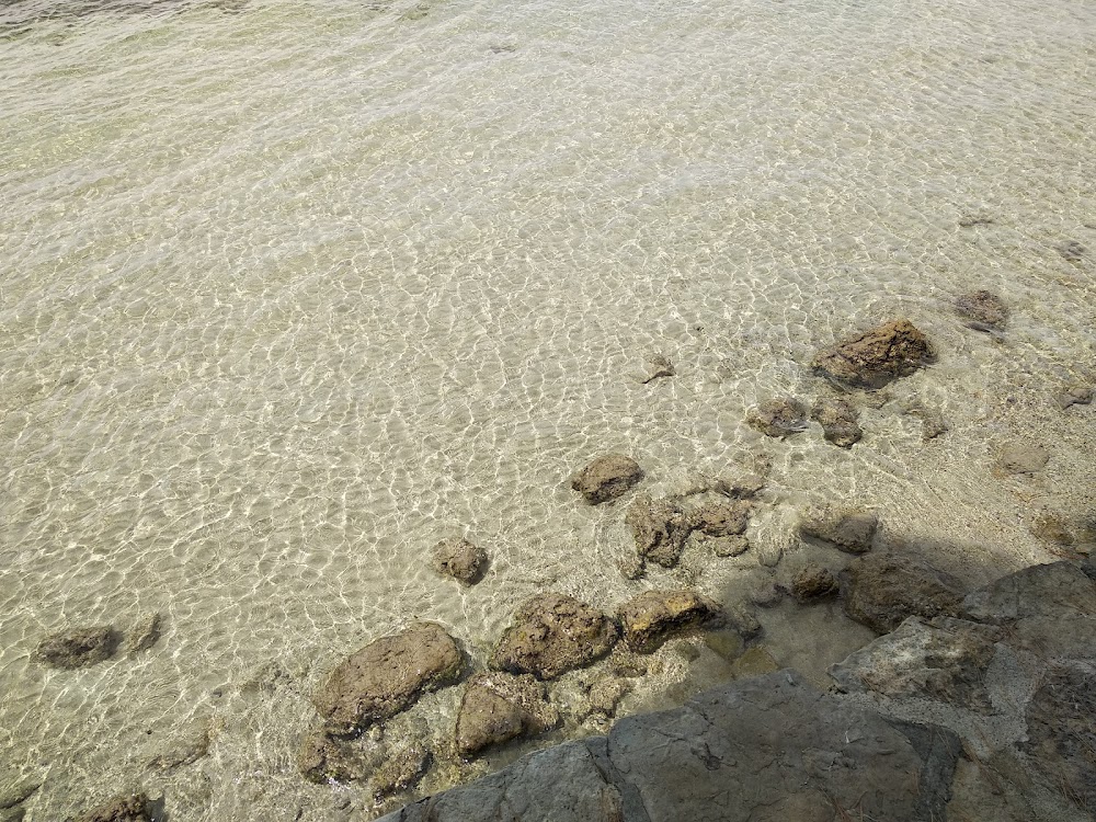 Playa Pollença