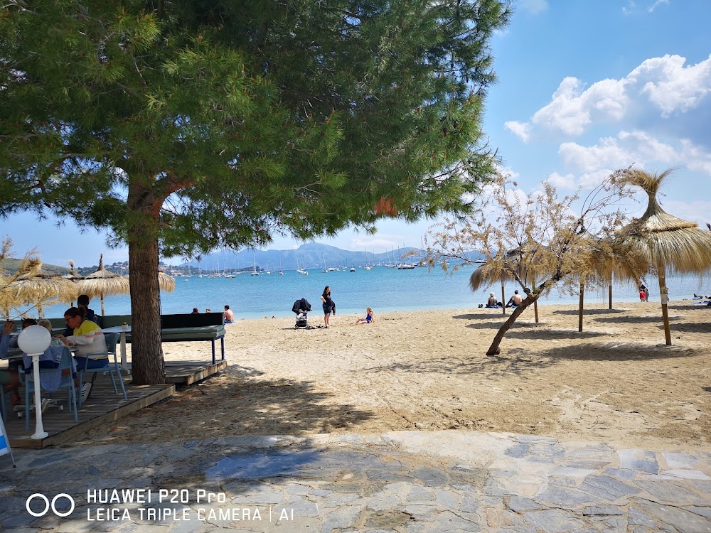 Playa Pollença
