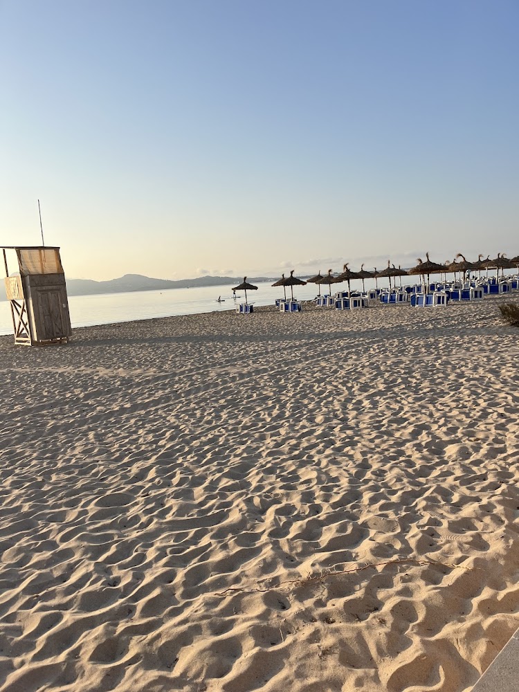 Playa Pollença