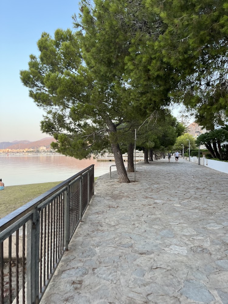 Playa Pollença