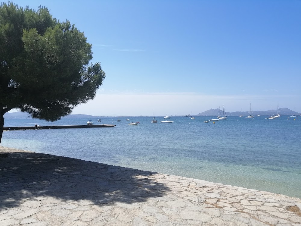 Playa Pollença