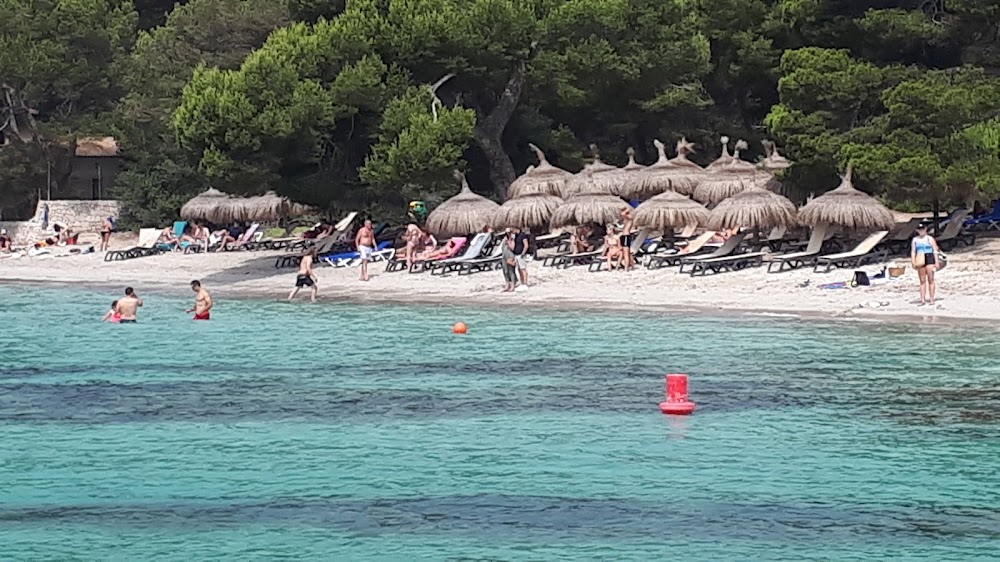 Playa Pollença