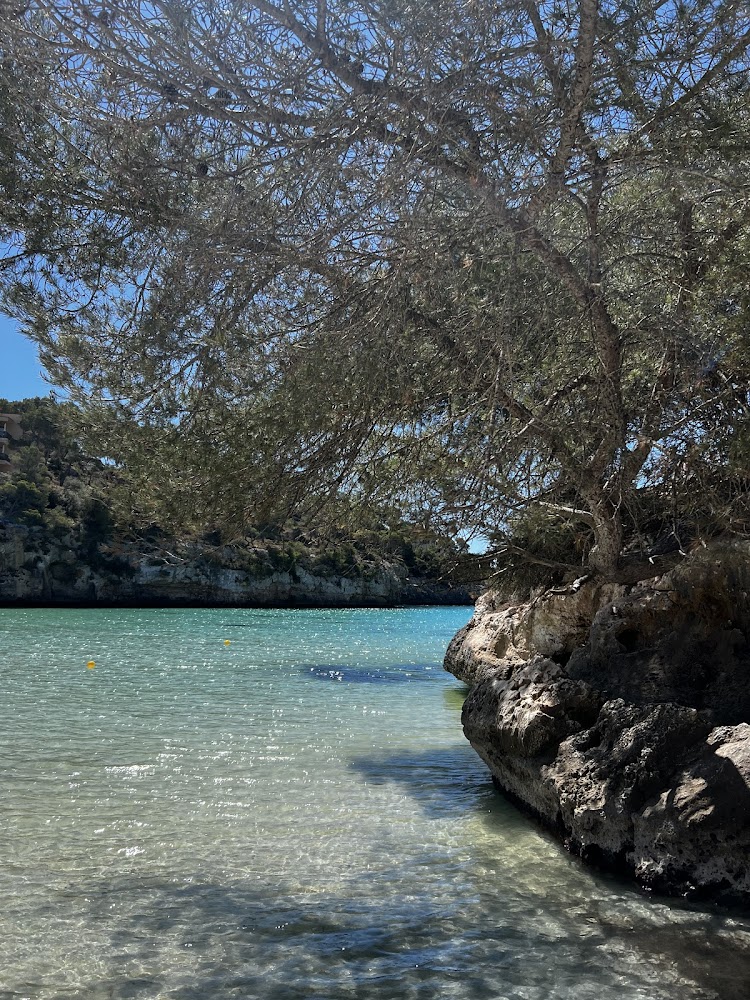 Playa de Santanyí