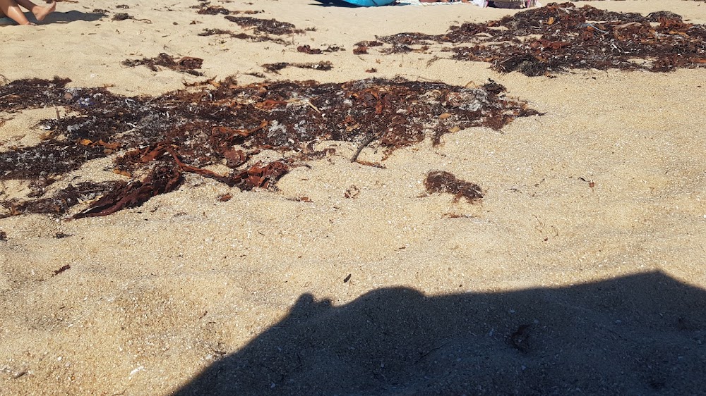 Playa de A Corna