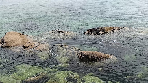 Praia Da Barca