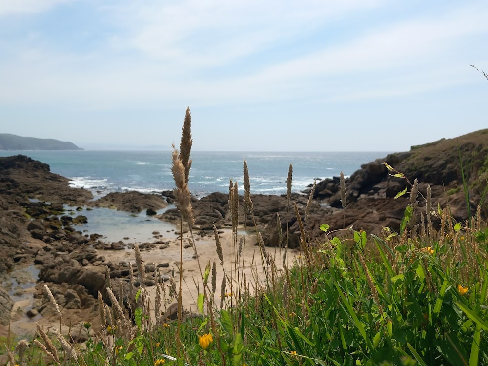 Playa es Doniños