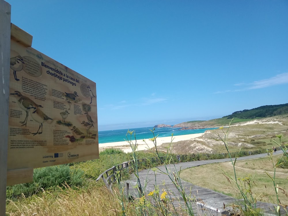 Playa es Doniños