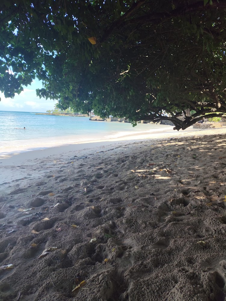 Playa Los Mino