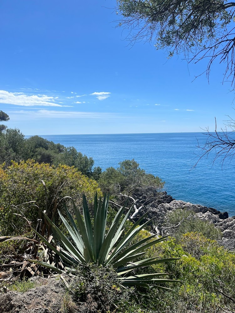 Plage de Carnolès
