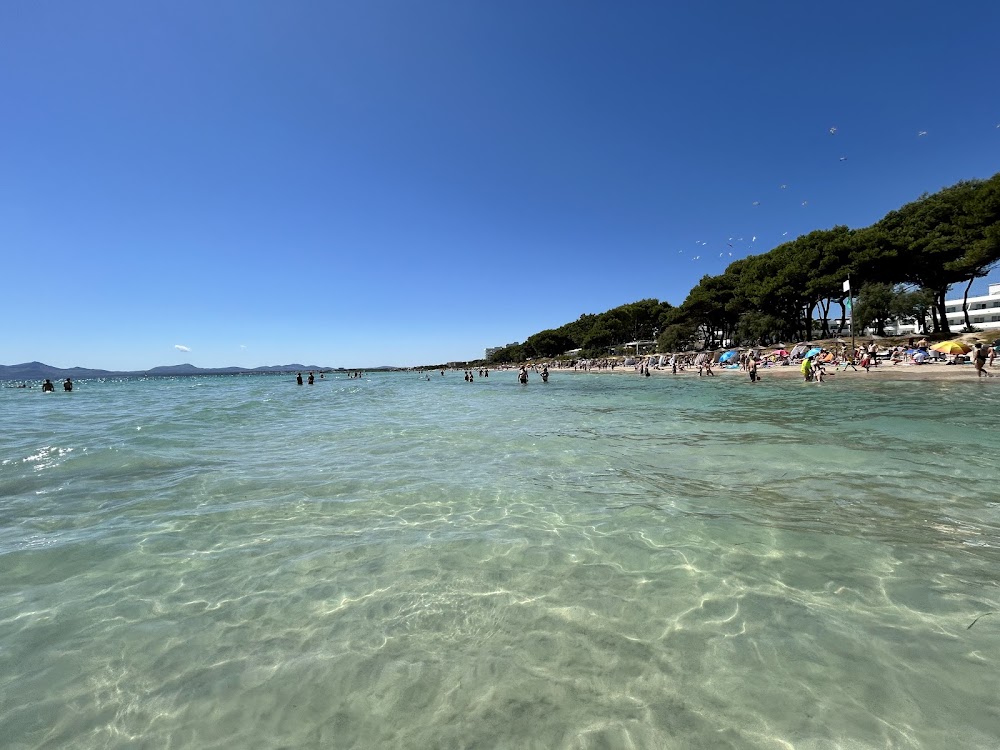 Platja de Muro