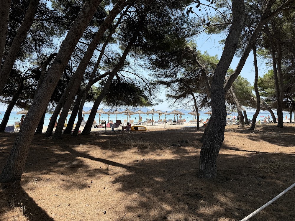 Platja de Muro