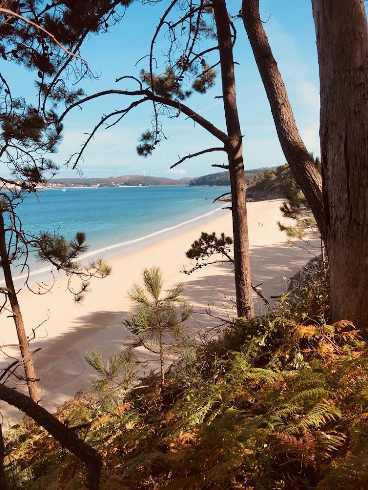 Praia do Lago