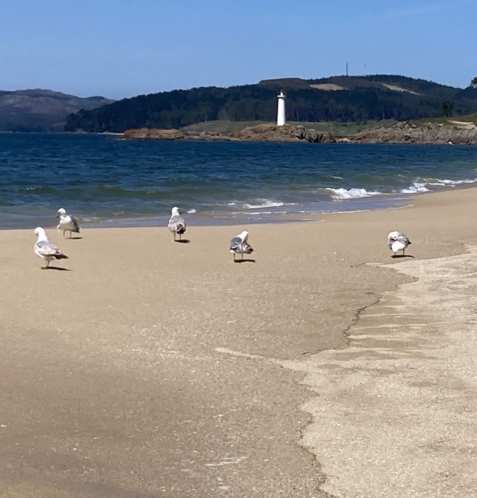 Praia do Lago