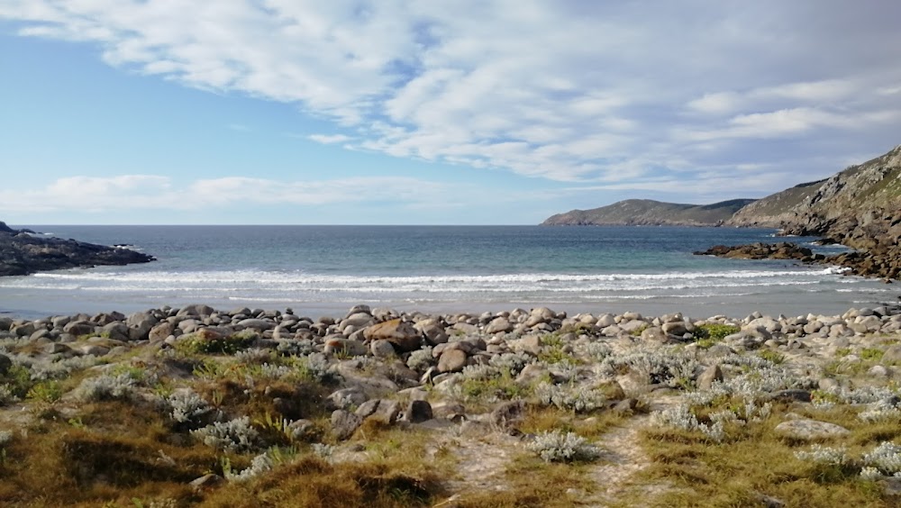Praia de Moreira