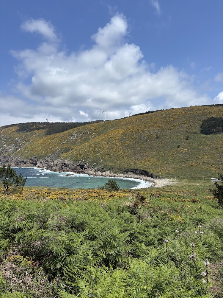 Praia de Moreira