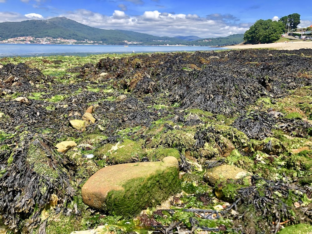 Praia de Boa