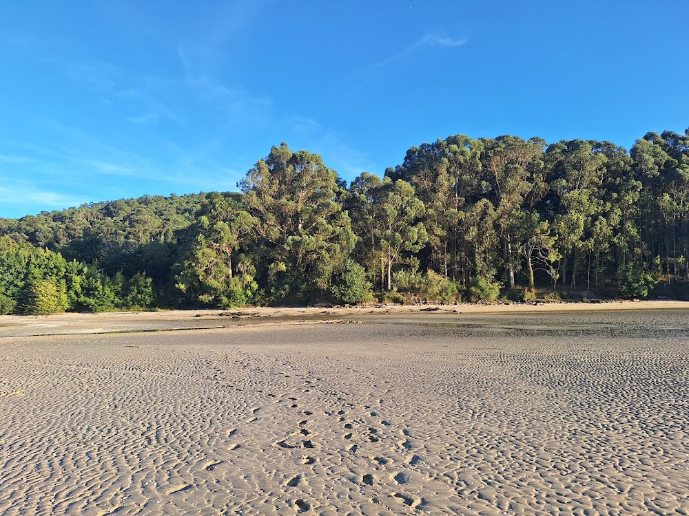 Praia de Boa