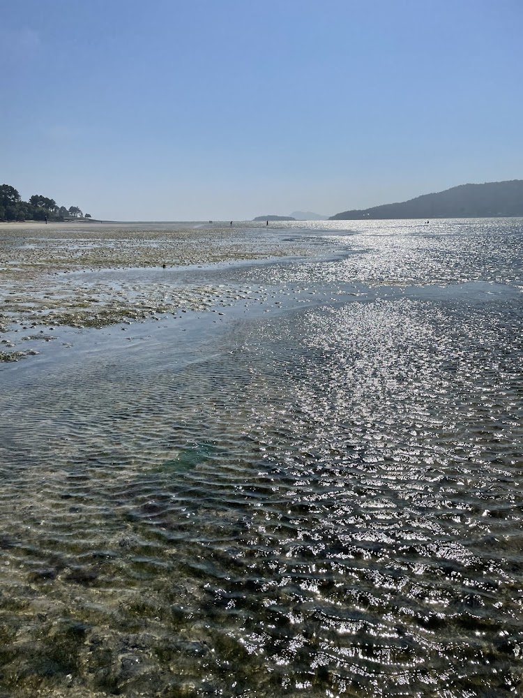 Playa de Testal