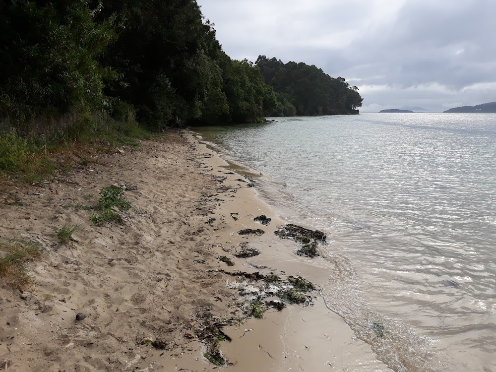 Playa de Testal