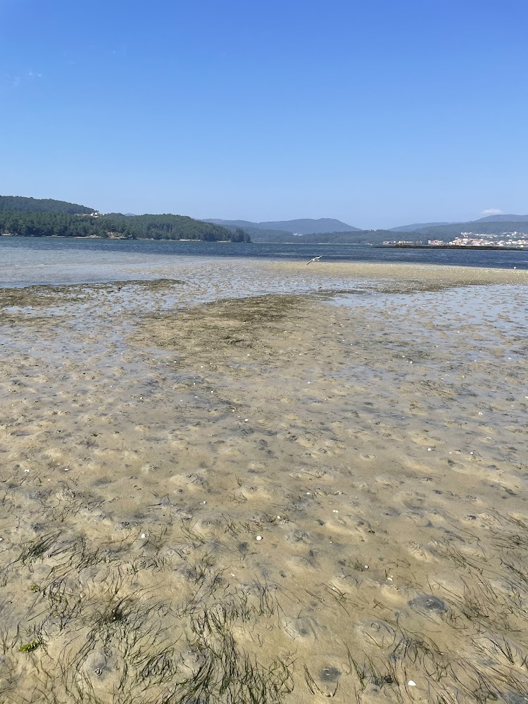 Playa de Testal
