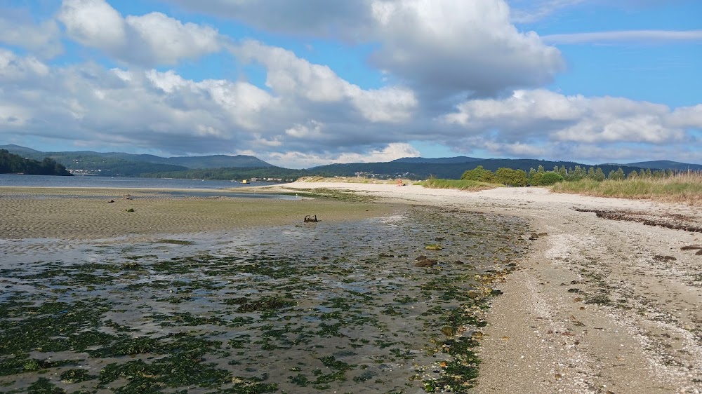 Playa de Testal