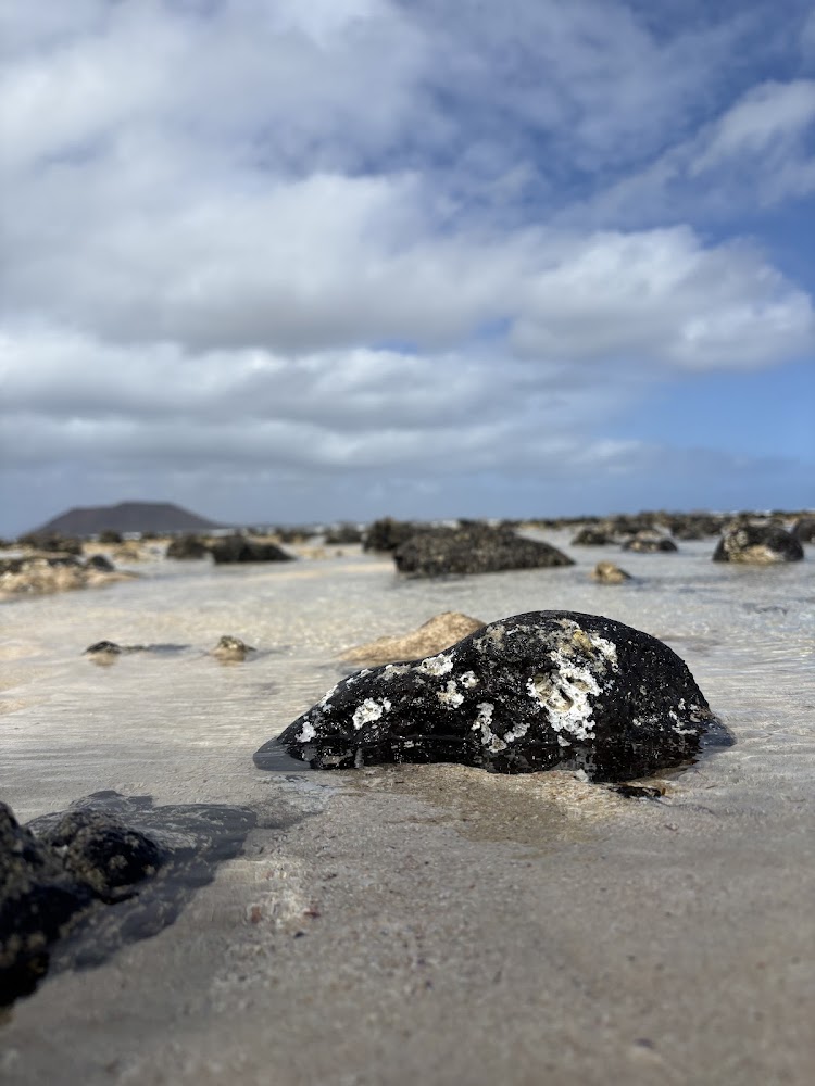 Playa del Pozo