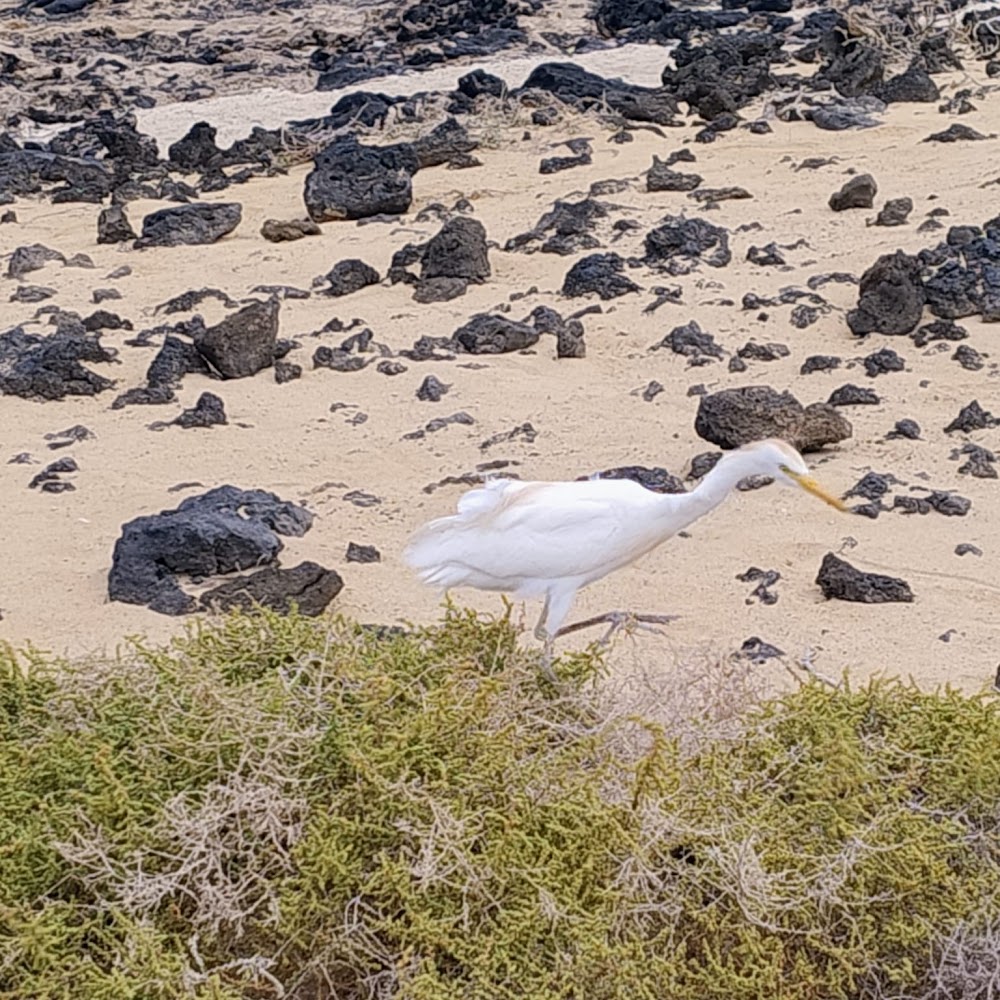 Playa del Pozo