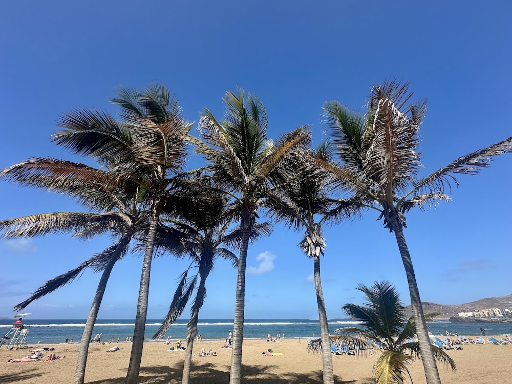 Playa de Las Canteras (Las Palmas de Gran Canaria)