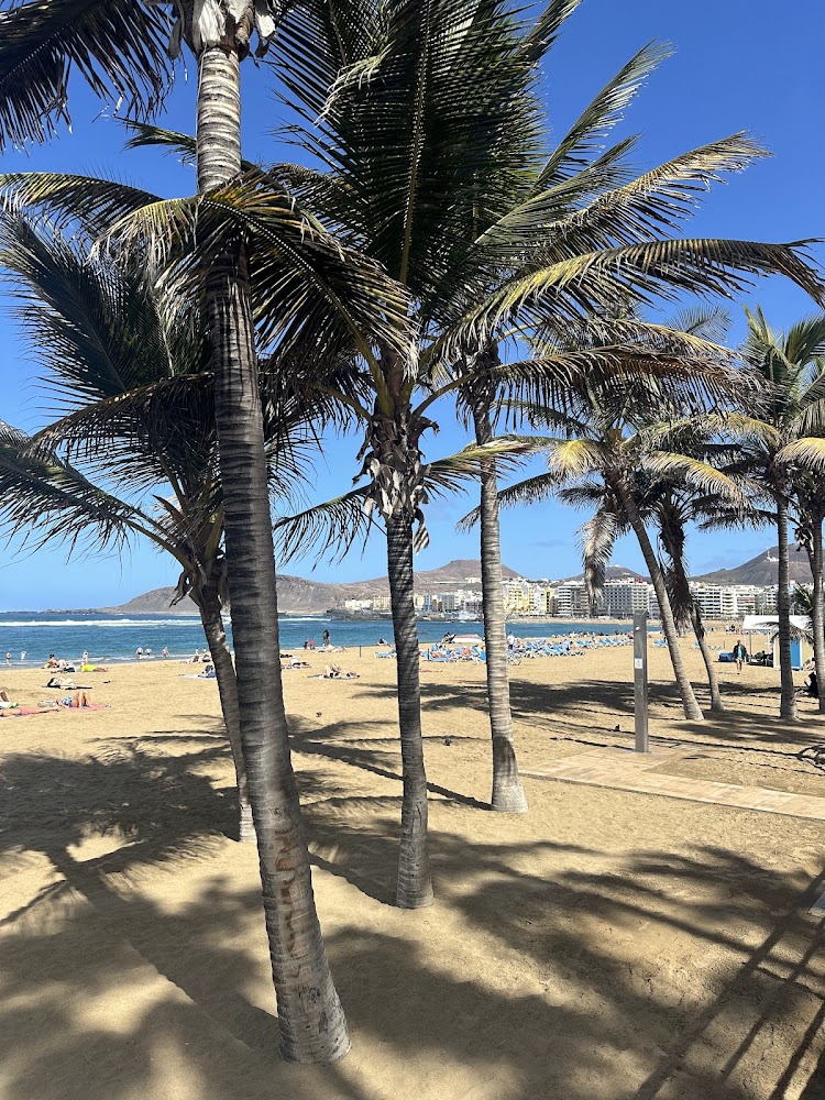 Playa de Las Canteras (Las Palmas de Gran Canaria)