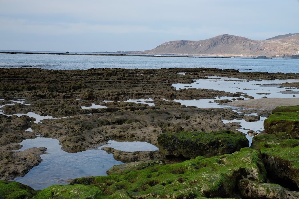 Playa de Las Canteras (Las Palmas de Gran Canaria)