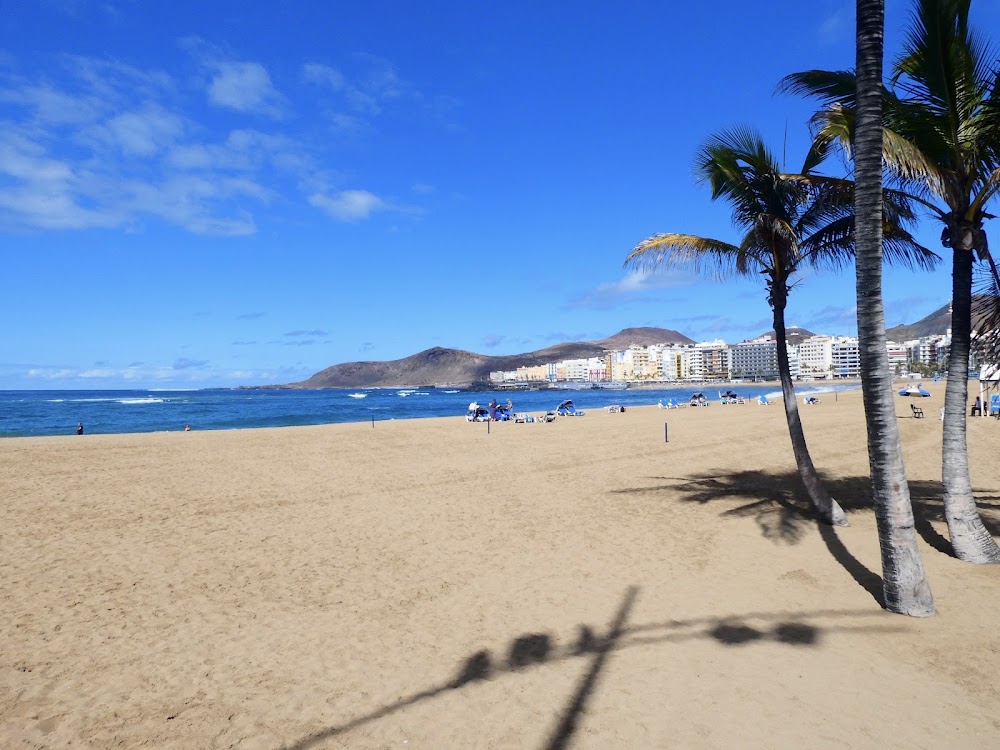 Playa de Las Canteras (Las Palmas de Gran Canaria)