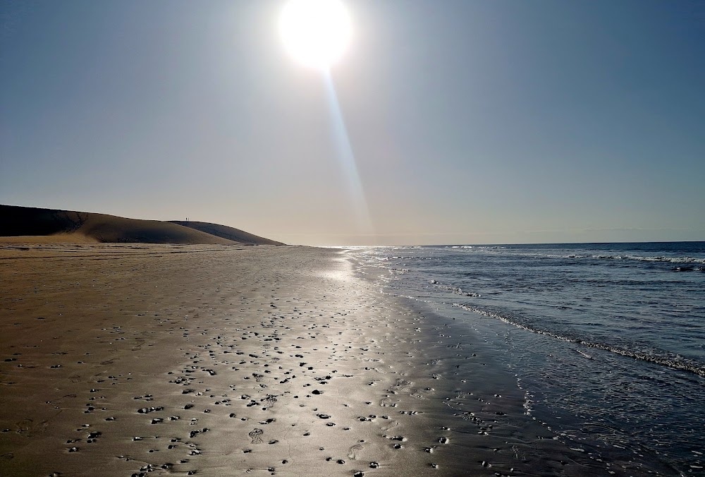 Playa de Maspalomas (Maspalomas)