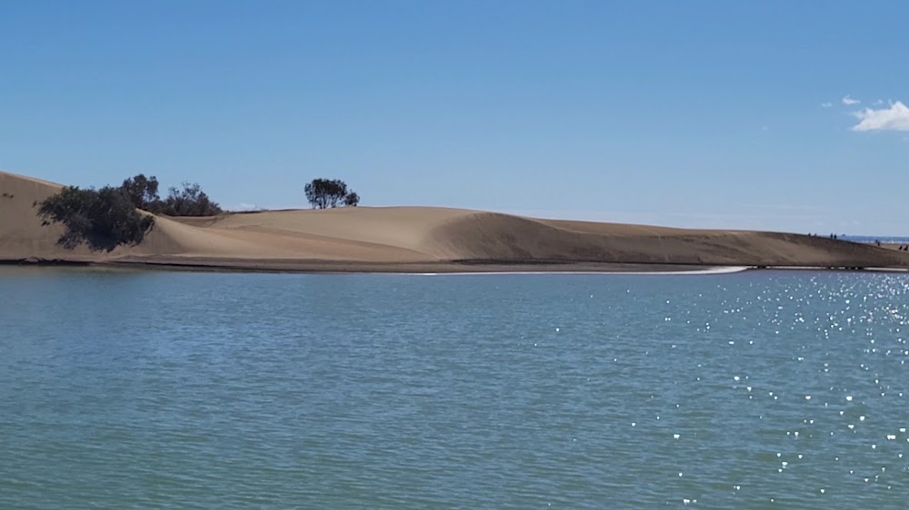 Playa de Maspalomas (Maspalomas)