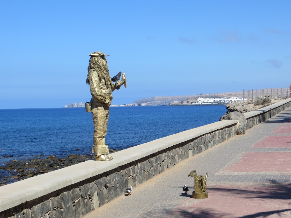 Playa Del Faro
