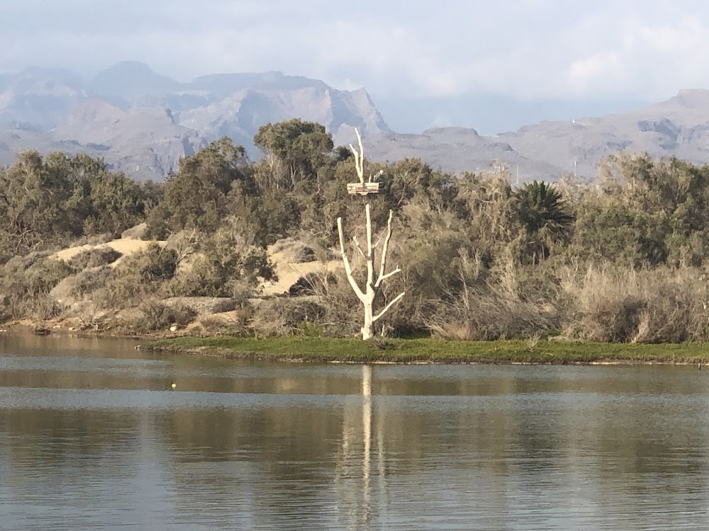 Playa Del Faro