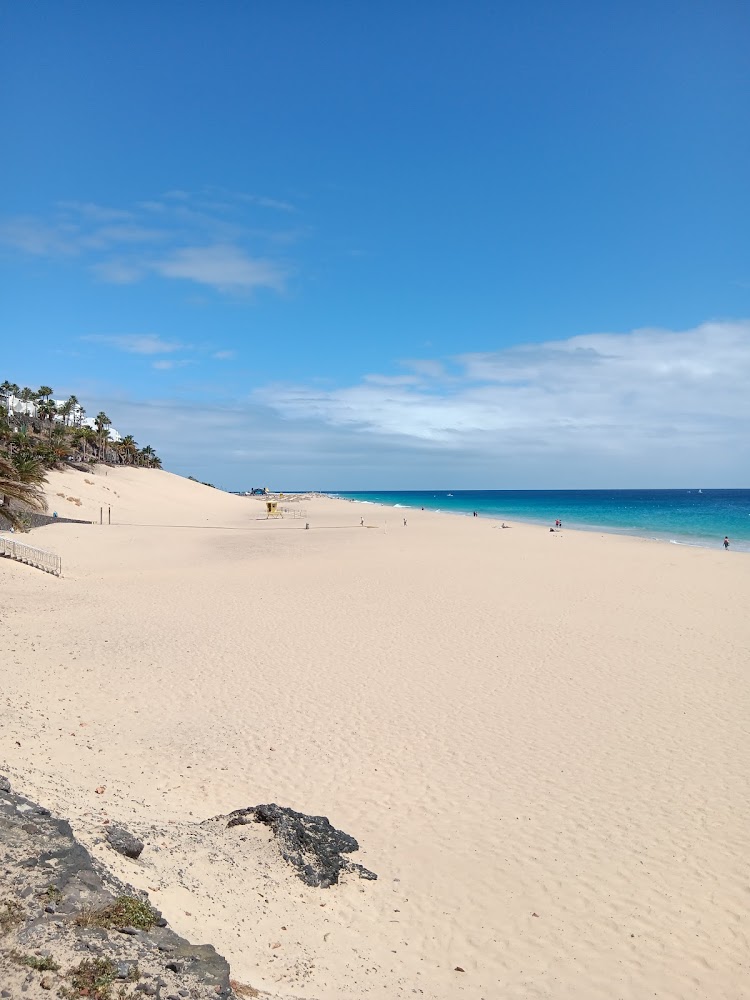 Playa del Matorral