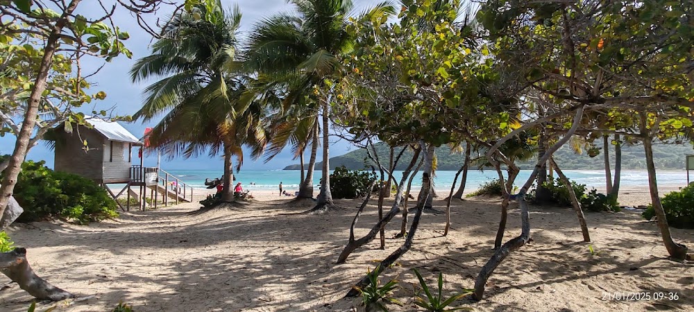 Playa Flamenco
